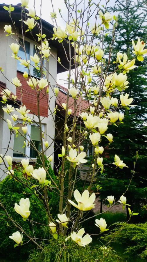 Domowe Zalesie Apartment Piaseczno  Exterior photo