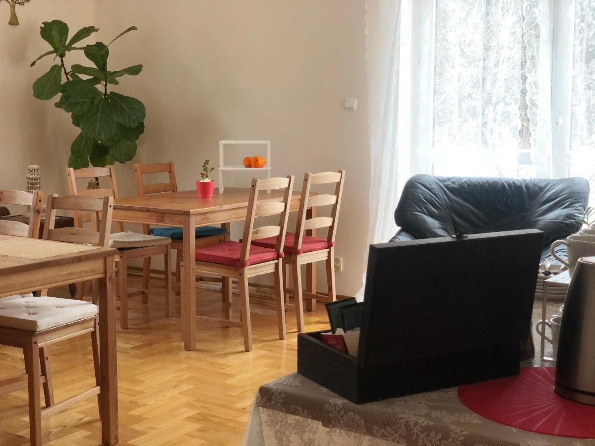 Domowe Zalesie Apartment Piaseczno  Exterior photo